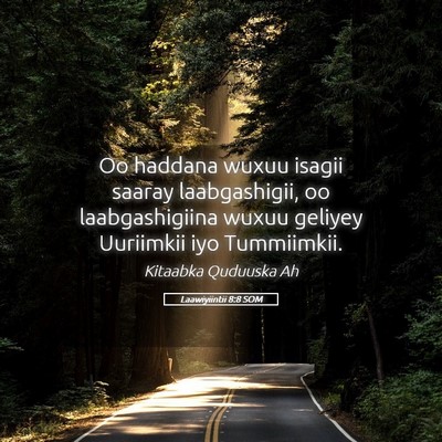 Picture 05 - Laawiyiintii 8:8 SOM - Oo haddana wuxuu isagii saaray laabgashigii, oo - Bible Verse Picture