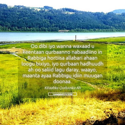 Picture 05 - Laawiyiintii 9:4 SOM - Oo dibi iyo wanna waxaad u keentaan qurbaanno - Bible Verse Picture