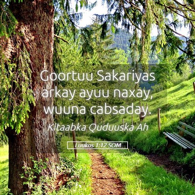 Picture 05 - Luukos 1:12 SOM - Goortuu Sakariyas arkay ayuu naxay, wuuna - Bible Verse Picture