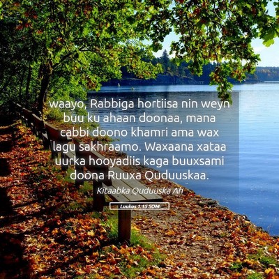Picture 05 - Luukos 1:15 SOM - waayo, Rabbiga hortiisa nin weyn buu ku ahaan - Bible Verse Picture
