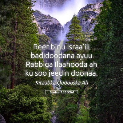 Picture 05 - Luukos 1:16 SOM - Reer binu Israa'iil badidoodana ayuu Rabbiga - Bible Verse Picture