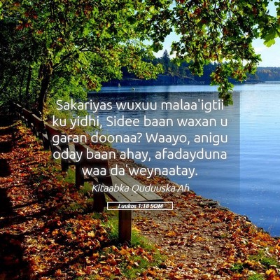 Picture 05 - Luukos 1:18 SOM - Sakariyas wuxuu malaa'igtii ku yidhi, Sidee baan - Bible Verse Picture