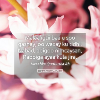 Picture 05 - Luukos 1:28 SOM - Malaa'igtii baa u soo gashay, oo waxay ku tidhi, - Bible Verse Picture