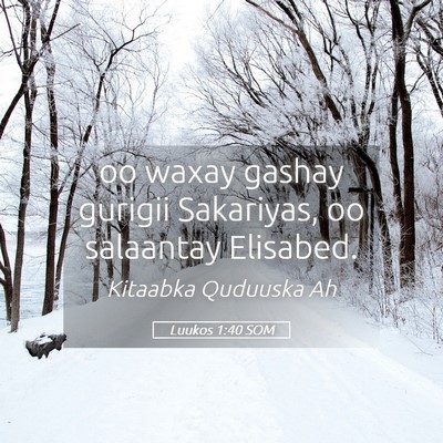 Picture 05 - Luukos 1:40 SOM - oo waxay gashay gurigii Sakariyas, oo salaantay - Bible Verse Picture