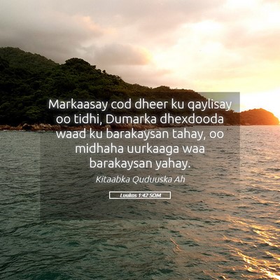 Picture 05 - Luukos 1:42 SOM - Markaasay cod dheer ku qaylisay oo tidhi, Dumarka - Bible Verse Picture