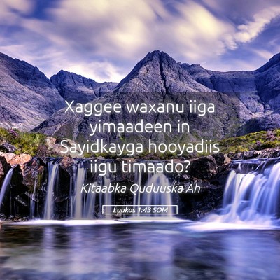 Picture 05 - Luukos 1:43 SOM - Xaggee waxanu iiga yimaadeen in Sayidkayga - Bible Verse Picture
