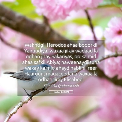 Picture 05 - Luukos 1:5 SOM - Wakhtigii Herodos ahaa boqorkii Yahuudiya, waxaa - Bible Verse Picture