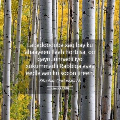 Picture 05 - Luukos 1:6 SOM - Labadooduba xaq bay ku ahaayeen Ilaah hortiisa, - Bible Verse Picture