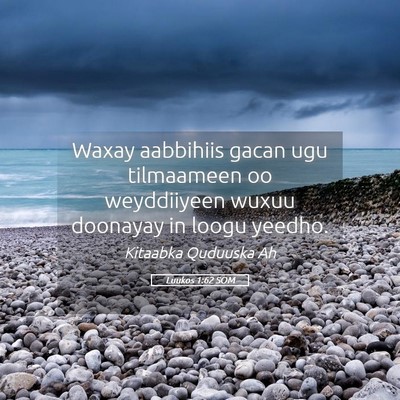 Picture 05 - Luukos 1:62 SOM - Waxay aabbihiis gacan ugu tilmaameen oo - Bible Verse Picture