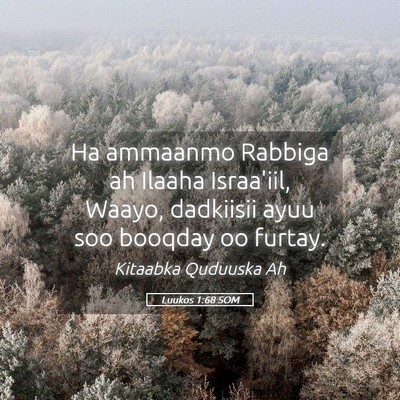Picture 05 - Luukos 1:68 SOM - Ha ammaanmo Rabbiga ah Ilaaha Israa'iil, Waayo, - Bible Verse Picture