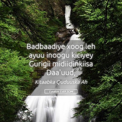 Picture 05 - Luukos 1:69 SOM - Badbaadiye xoog leh ayuu inoogu kiciyey Gurigii - Bible Verse Picture
