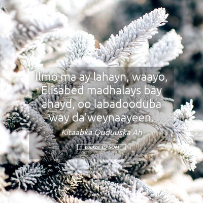 Picture 05 - Luukos 1:7 SOM - Ilmo ma ay lahayn, waayo, Elisabed madhalays bay - Bible Verse Picture
