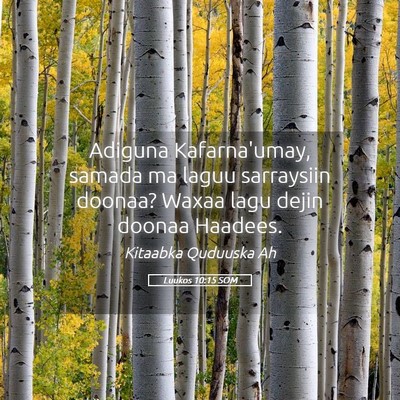 Picture 05 - Luukos 10:15 SOM - Adiguna Kafarna'umay, samada ma laguu sarraysiin - Bible Verse Picture