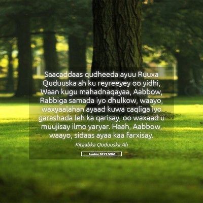 Picture 05 - Luukos 10:21 SOM - Saacaddaas qudheeda ayuu Ruuxa Quduuska ah ku - Bible Verse Picture