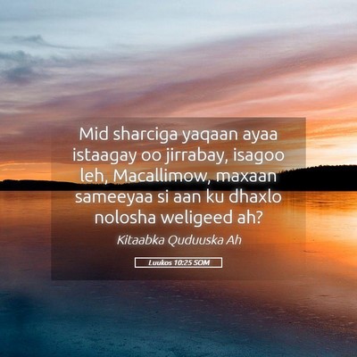 Picture 05 - Luukos 10:25 SOM - Mid sharciga yaqaan ayaa istaagay oo jirrabay, - Bible Verse Picture