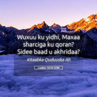Picture 05 - Luukos 10:26 SOM - Wuxuu ku yidhi, Maxaa sharciga ku qoran? Sidee - Bible Verse Picture