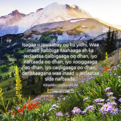 Picture 05 - Luukos 10:27 SOM - Isagaa u jawaabay oo ku yidhi, Waa inaad Rabbiga - Bible Verse Picture