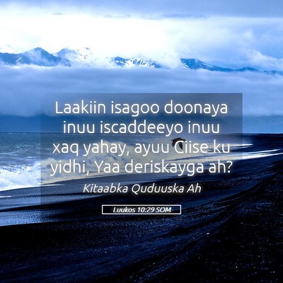 Picture 05 - Luukos 10:29 SOM - Laakiin isagoo doonaya inuu iscaddeeyo inuu xaq - Bible Verse Picture