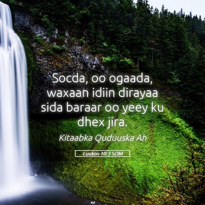 Picture 05 - Luukos 10:3 SOM - Socda, oo ogaada, waxaan idiin dirayaa sida - Bible Verse Picture