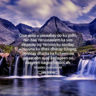 Picture 05 - Luukos 10:30 SOM - Ciise ayaa u jawaabay oo ku yidhi, Nin baa - Bible Verse Picture