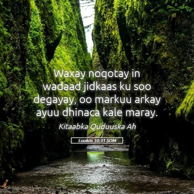 Picture 05 - Luukos 10:31 SOM - Waxay noqotay in wadaad jidkaas ku soo degayay, - Bible Verse Picture
