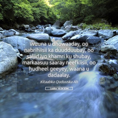 Picture 05 - Luukos 10:34 SOM - Wuuna u dhowaaday, oo nabrihiisii ka duudduubay, - Bible Verse Picture