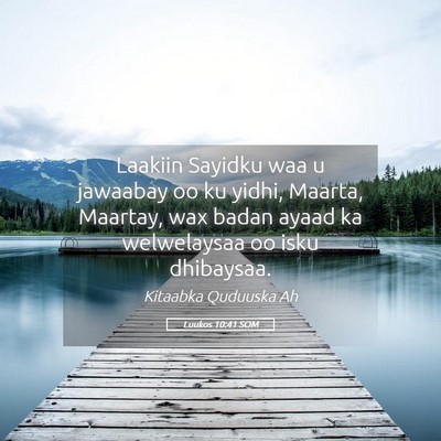 Picture 05 - Luukos 10:41 SOM - Laakiin Sayidku waa u jawaabay oo ku yidhi, - Bible Verse Picture