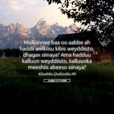 Picture 05 - Luukos 11:11 SOM - Midkiinnee baa oo aabbe ah haddii wiilkiisu kibis - Bible Verse Picture