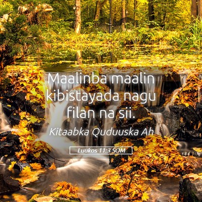 Picture 05 - Luukos 11:3 SOM - Maalinba maalin kibistayada nagu filan na - Bible Verse Picture