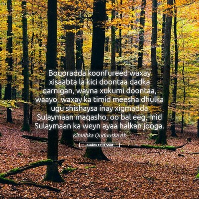Picture 05 - Luukos 11:31 SOM - Boqoradda koonfureed waxay xisaabta la kici - Bible Verse Picture