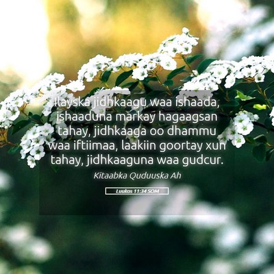 Picture 05 - Luukos 11:34 SOM - Ilayska jidhkaagu waa ishaada, ishaaduna markay - Bible Verse Picture
