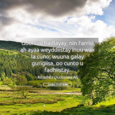 Picture 05 - Luukos 11:37 SOM - Goortuu hadlayay, nin Farrisi ah ayaa weyddiistay - Bible Verse Picture