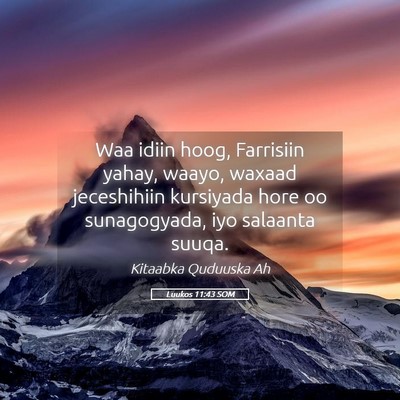 Picture 05 - Luukos 11:43 SOM - Waa idiin hoog, Farrisiin yahay, waayo, waxaad - Bible Verse Picture