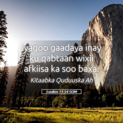 Picture 05 - Luukos 11:54 SOM - iyagoo gaadaya inay ku qabtaan wixii afkiisa ka - Bible Verse Picture