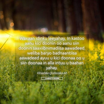 Picture 05 - Luukos 11:8 SOM - Waxaan idinku leeyahay, In kastoo aanu kici - Bible Verse Picture