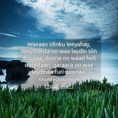 Picture 05 - Luukos 11:9 SOM - Waxaan idinku leeyahay, Weyddiista oo waa laydin - Bible Verse Picture