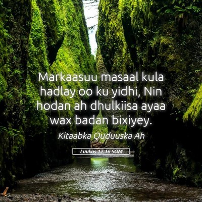 Picture 05 - Luukos 12:16 SOM - Markaasuu masaal kula hadlay oo ku yidhi, Nin - Bible Verse Picture