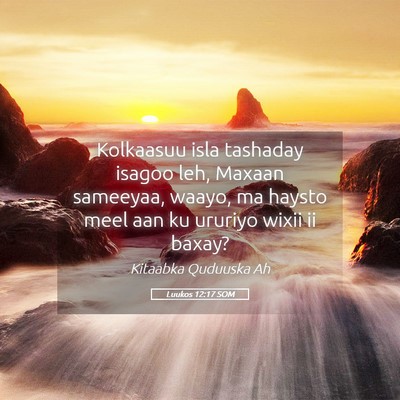 Picture 05 - Luukos 12:17 SOM - Kolkaasuu isla tashaday isagoo leh, Maxaan - Bible Verse Picture