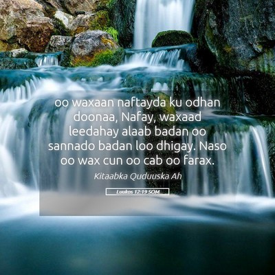 Picture 05 - Luukos 12:19 SOM - oo waxaan naftayda ku odhan doonaa, Nafay, waxaad - Bible Verse Picture
