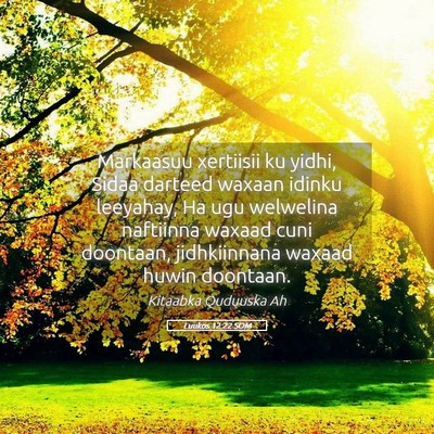 Picture 05 - Luukos 12:22 SOM - Markaasuu xertiisii ku yidhi, Sidaa darteed - Bible Verse Picture