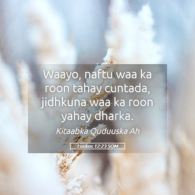 Picture 05 - Luukos 12:23 SOM - Waayo, naftu waa ka roon tahay cuntada, jidhkuna - Bible Verse Picture