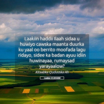 Picture 05 - Luukos 12:28 SOM - Laakiin haddii Ilaah sidaa u huwiyo cawska maanta - Bible Verse Picture