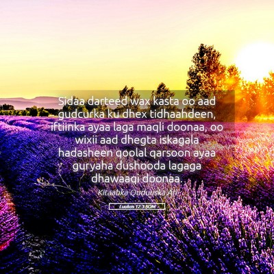 Picture 05 - Luukos 12:3 SOM - Sidaa darteed wax kasta oo aad gudcurka ku dhex - Bible Verse Picture