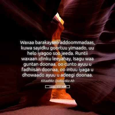 Picture 05 - Luukos 12:37 SOM - Waxaa barakaysan addoommadaas, kuwa sayidku - Bible Verse Picture