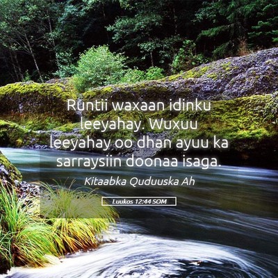 Picture 05 - Luukos 12:44 SOM - Runtii waxaan idinku leeyahay. Wuxuu leeyahay oo - Bible Verse Picture