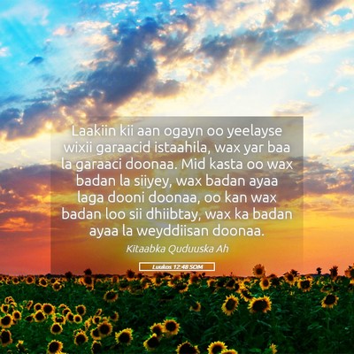 Picture 05 - Luukos 12:48 SOM - Laakiin kii aan ogayn oo yeelayse wixii garaacid - Bible Verse Picture