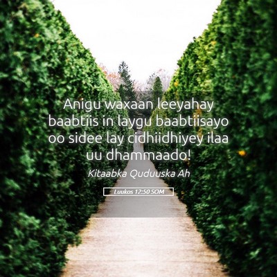 Picture 05 - Luukos 12:50 SOM - Anigu waxaan leeyahay baabtiis in laygu - Bible Verse Picture