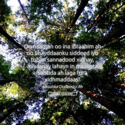 Picture 05 - Luukos 13:16 SOM - Oo naagtan oo ina Ibraahim ah oo Shayddaanku - Bible Verse Picture