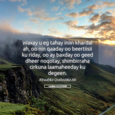 Picture 05 - Luukos 13:19 SOM - Waxay u eg tahay iniin khardal ah, oo nin qaaday - Bible Verse Picture