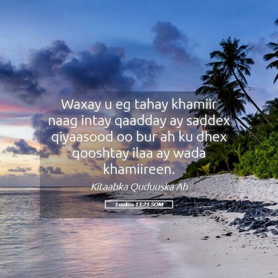 Picture 05 - Luukos 13:21 SOM - Waxay u eg tahay khamiir naag intay qaadday ay - Bible Verse Picture